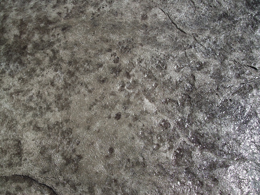 Seamless stamped concrete close up